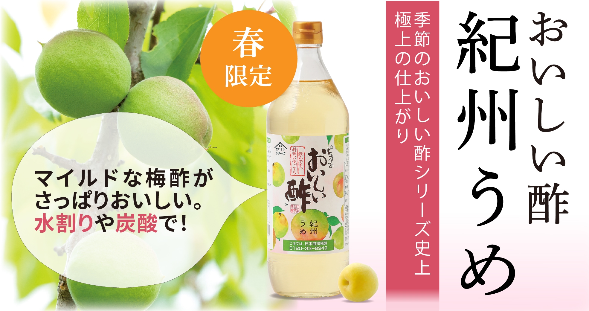 公式】日本自然発酵 公式 [おいしいWeb] 飲んでも料理にも おいしい酢