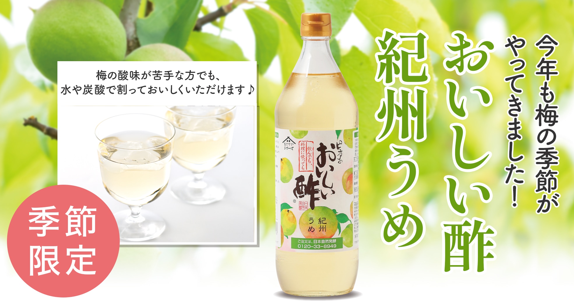 公式】日本自然発酵 公式 [おいしいWeb] 飲んでも料理にも おいしい酢