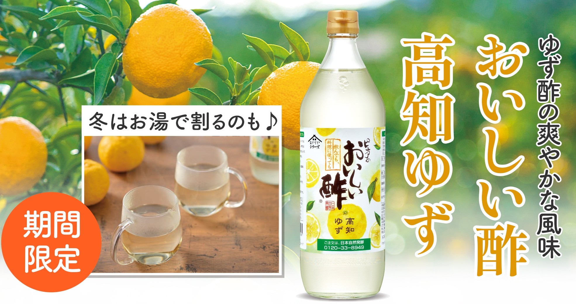 おいしい酢 高知ゆず