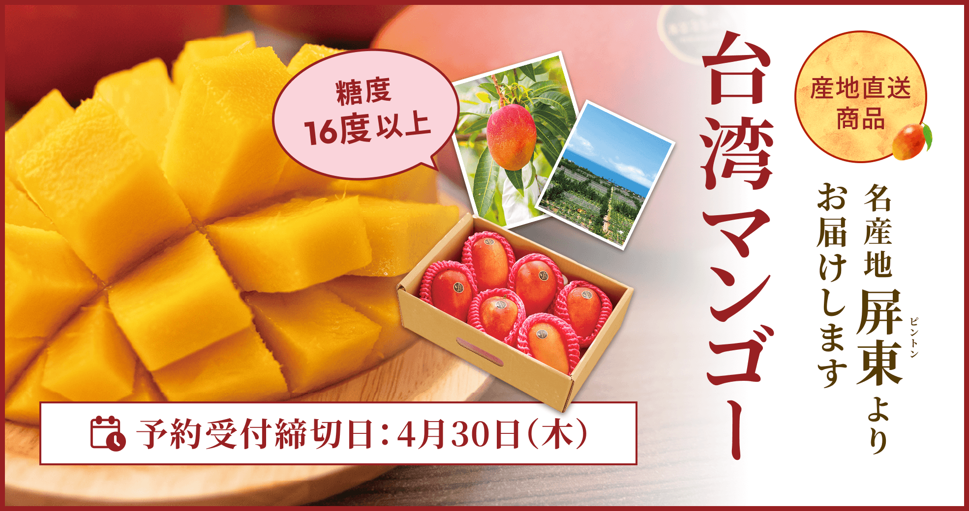 台湾マンゴー