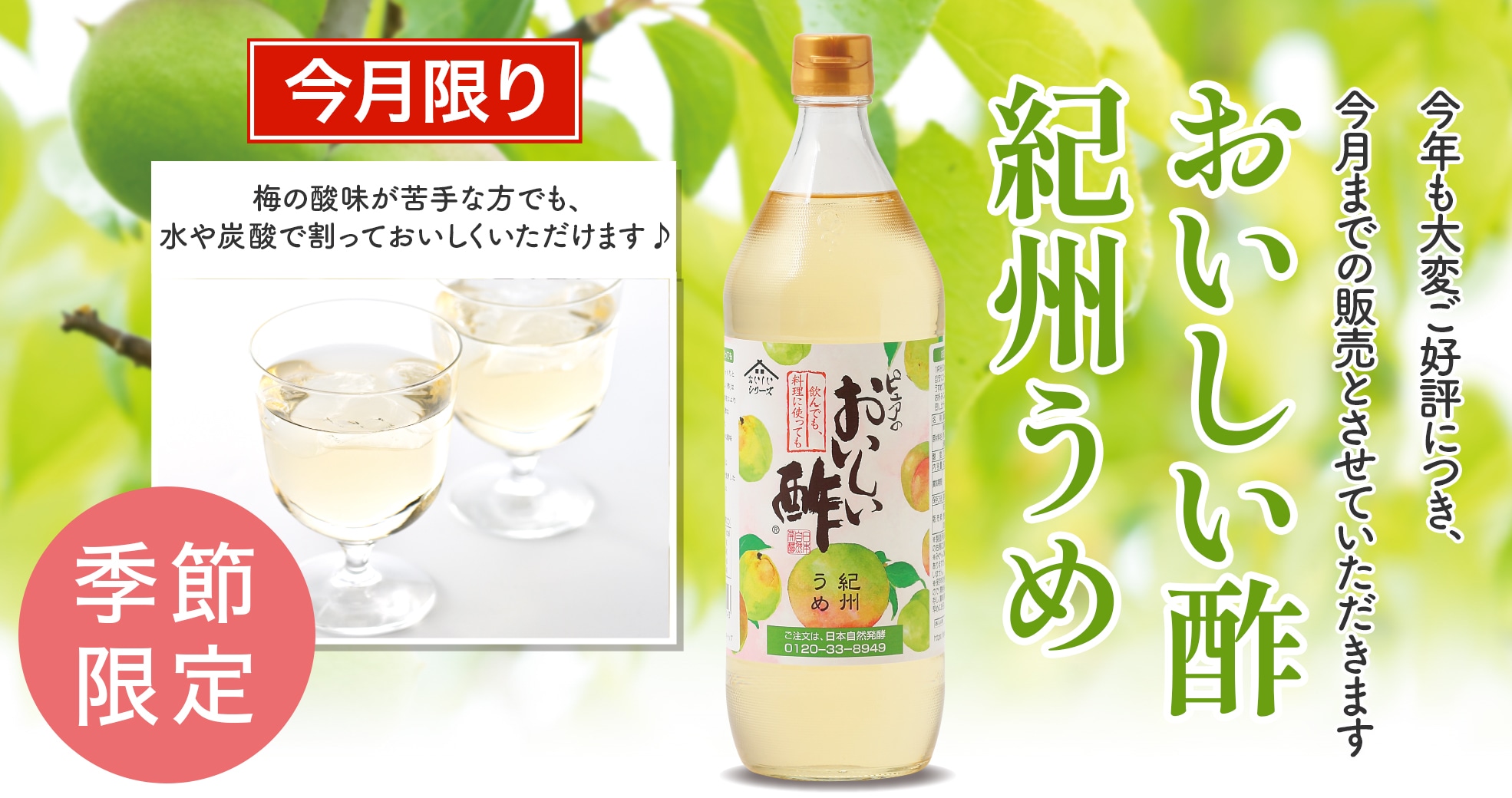 スッポンプレミアムゴールド1000 5箱（100ml×50本） ドリンク 送料無料