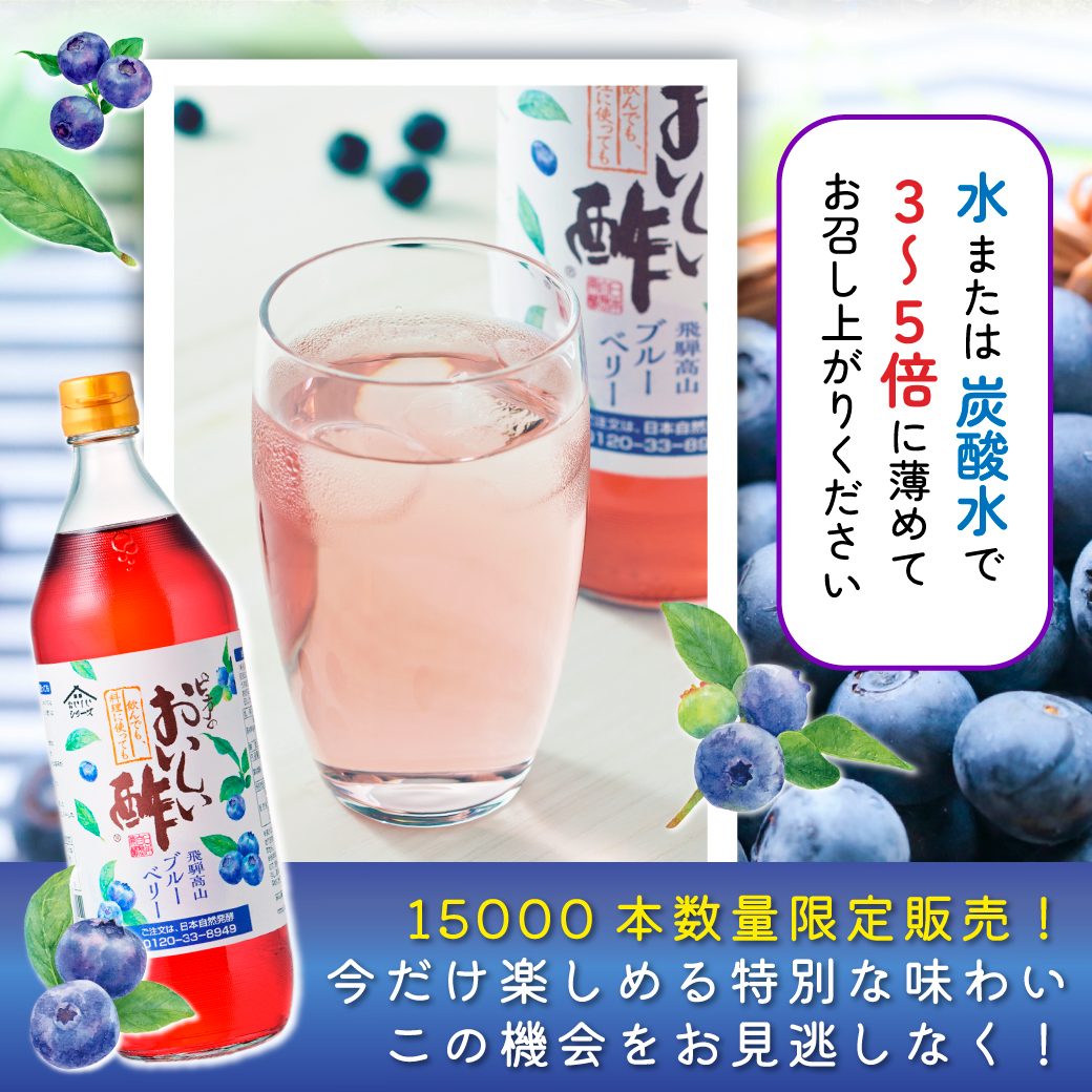在庫限り】おいしい酢 飛騨高山ブルーベリー 900ml×3本 酢 お酢 調味料