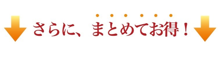 市場 ふるさと納税 島のり 日間賀島