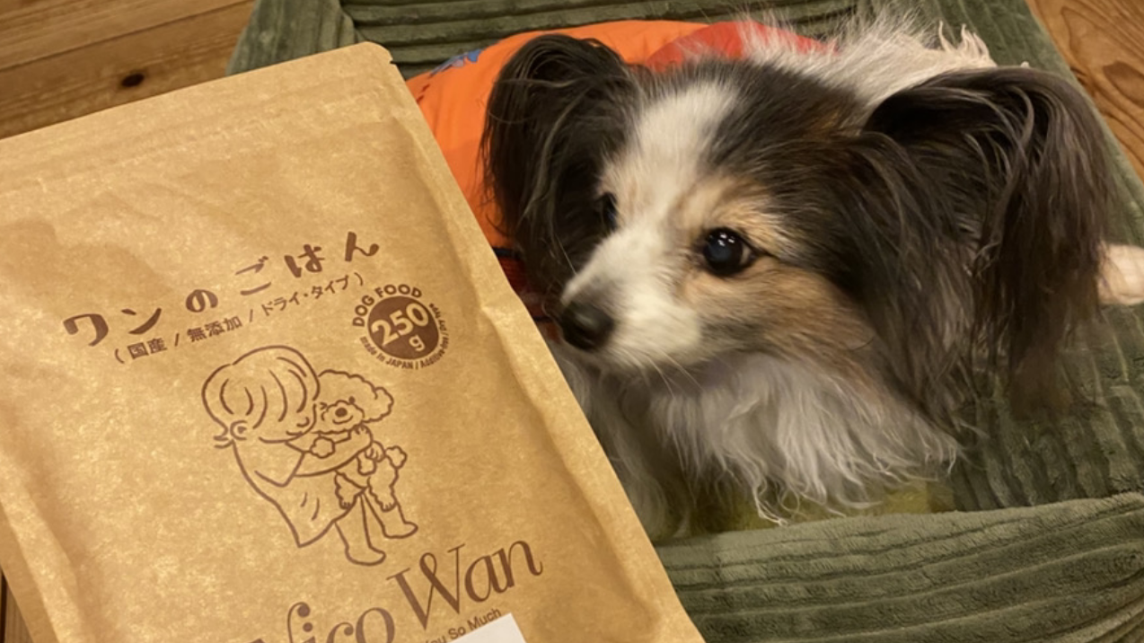 NicoWan｜国産無添加の犬猫用ごはん・おやつ
