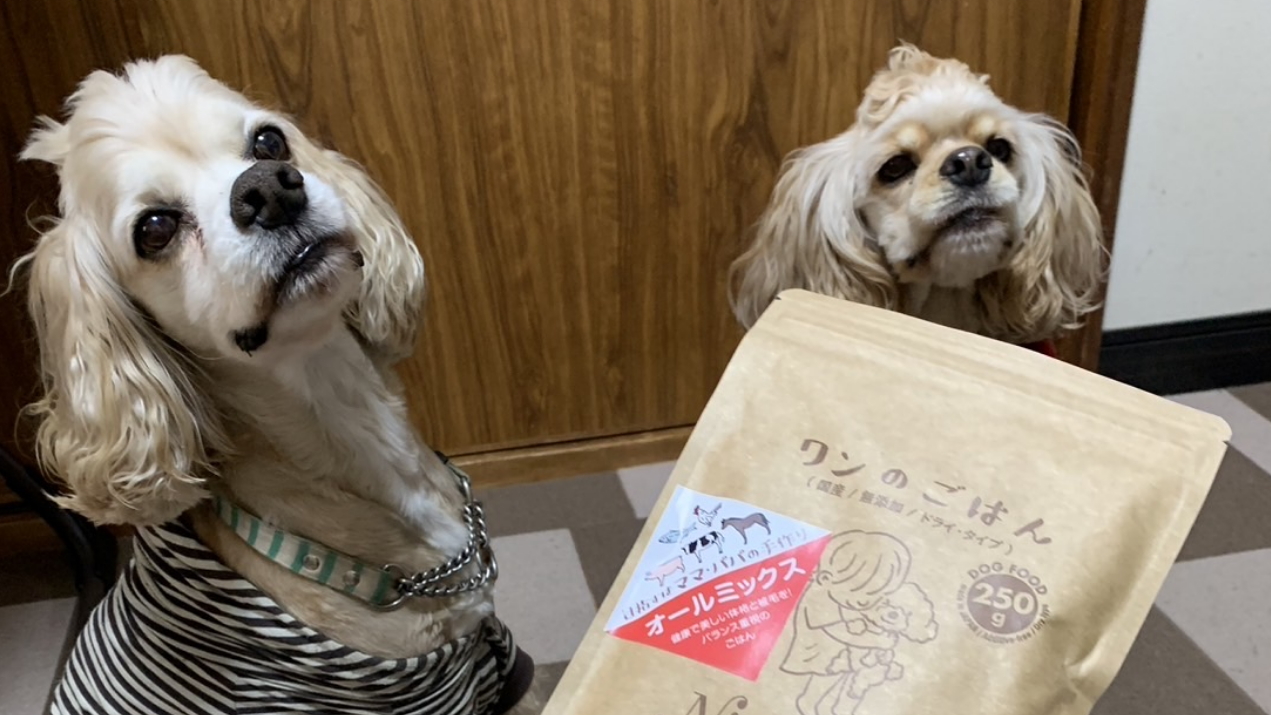 NicoWan｜国産無添加の犬猫用ごはん・おやつ
