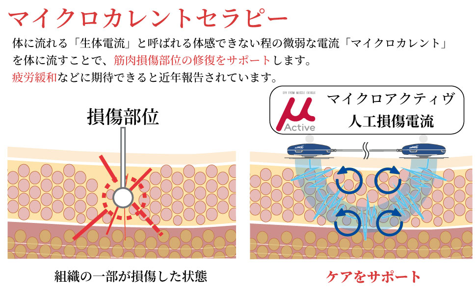 コンディショニング機器 マイクロアクティヴ | ボディケア | nicoja