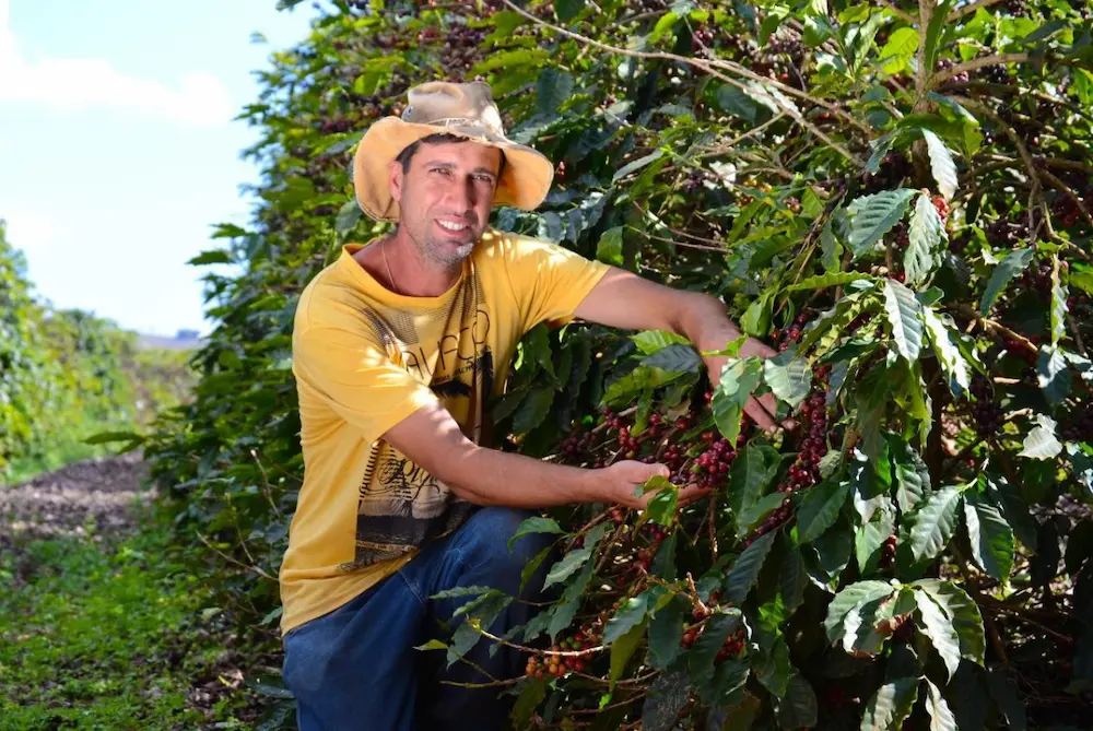 コーヒー産地のイメージ2