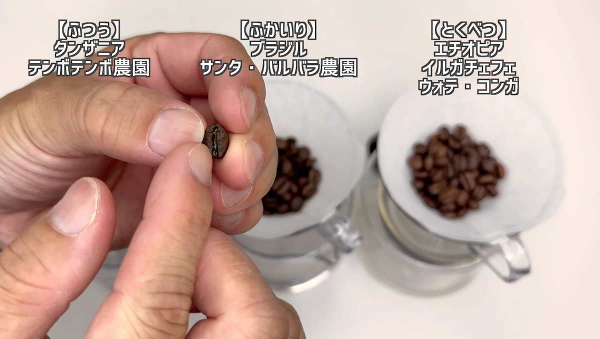 コーヒー豆のセンターカットと精製方法の違いを見る様子