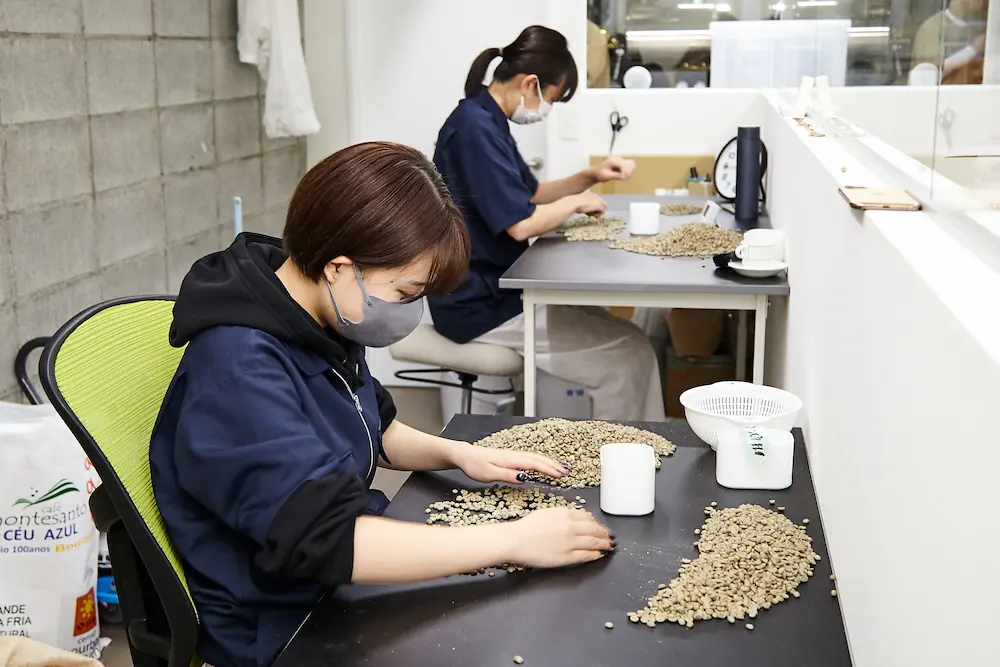 生豆の選別（グリーンピッキング）のイメージ