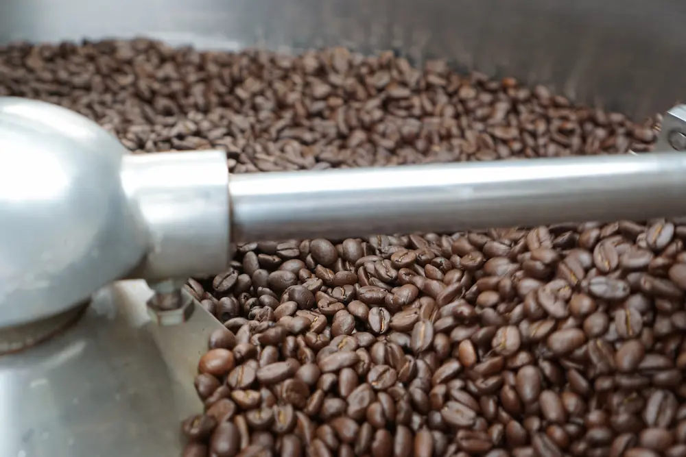 コーヒー豆の賞味期限と飲み頃の目安