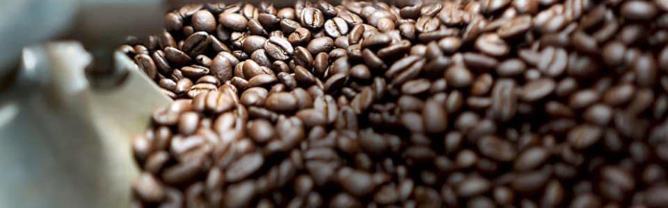 コーヒー豆通販を選ぶときのポイント