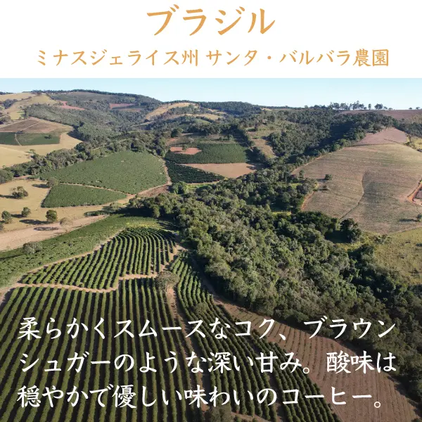 ブラジル ミナスジェライス州
サンタ・バルバラ農園の風景