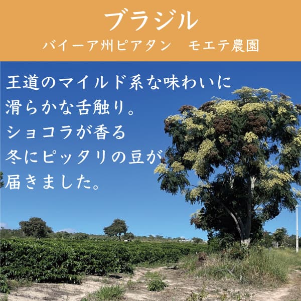 ブラジルコーヒー農園の画像