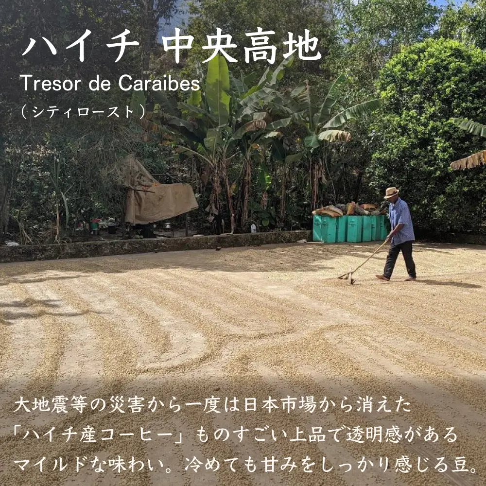 ハイチスペシャルティコーヒー中央高地　Tresor de Caraibes