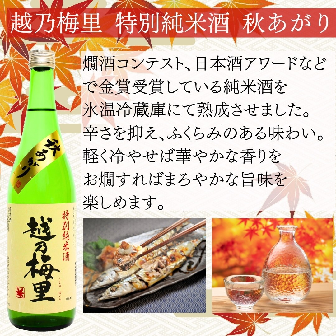 日本酒 ひやおろし 越乃梅里