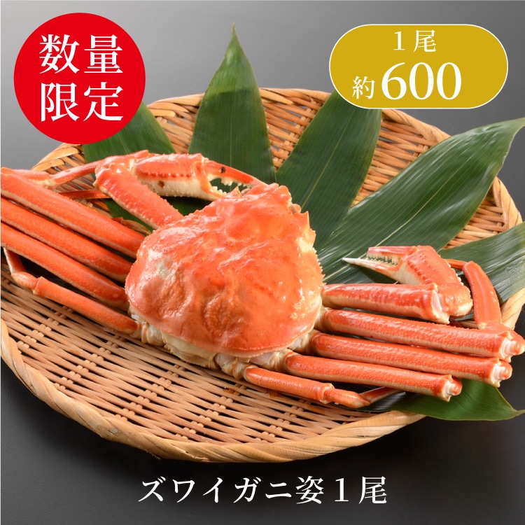 味の特急便 日本海便り/商品詳細 ズワイガニ姿 1尾 600g位 ≪ボイル