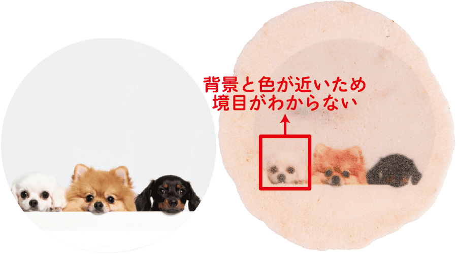 【NG例１】背景と色が近いため境目がわからない
