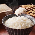 ごはんのお供に