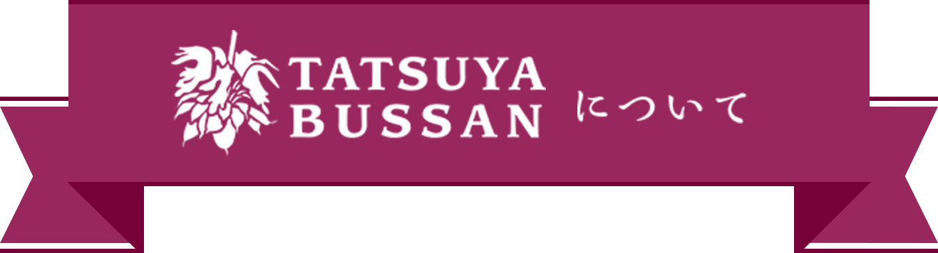 TATSUYA BUSSANˤĤ