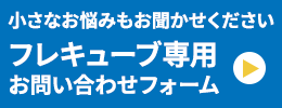 https://gigaplus.makeshop.jp/nishisato/item/fleqv_plus/fle_to_inq.gif
