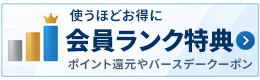 ��������ŵ�ˤĤ��� 