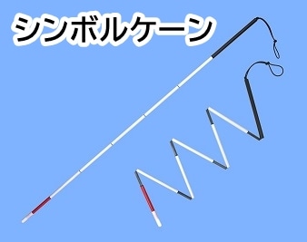 セガワスリムケーン