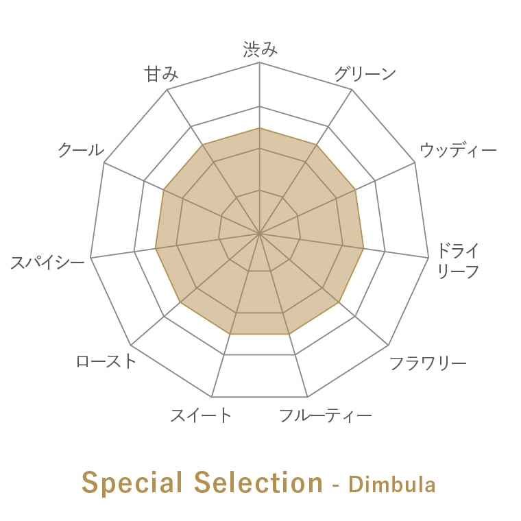 special selection Dimbulaʥǥ֥- Holyroodι̣㡼