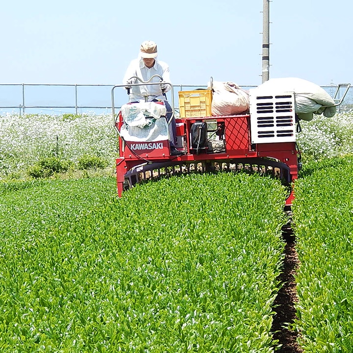 茶葉と機械