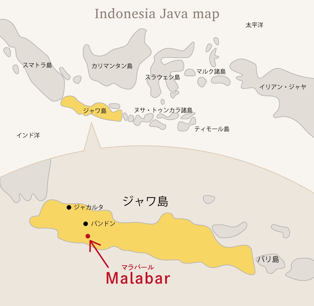【ペア】パラドクサ（インドネシア・ジャワ島） 世界の紅茶の産地を訪ねて – インドネシア ジャワ島 マラバール茶園