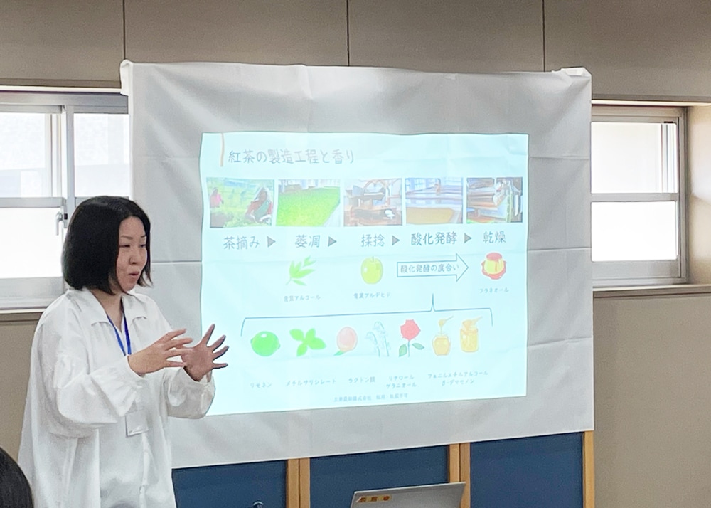 ���㥻�ߥʡ����ͻ�