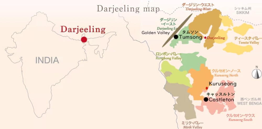 �����������Ͽ�