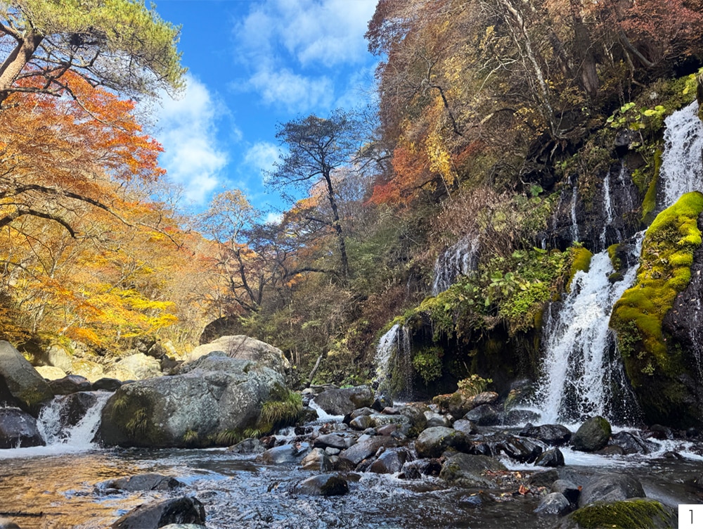 ��Τ����ε��������Ƥ����������ή