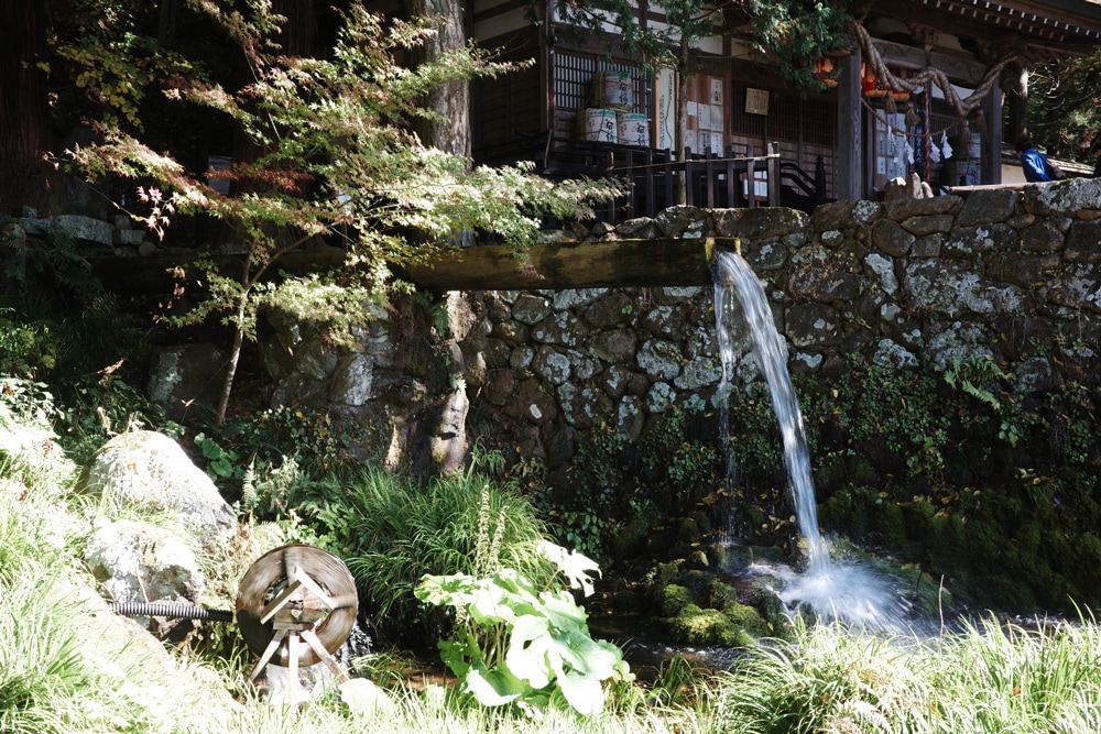 ������Ҷ����ͯ��̾��ɴ��������ͯ��