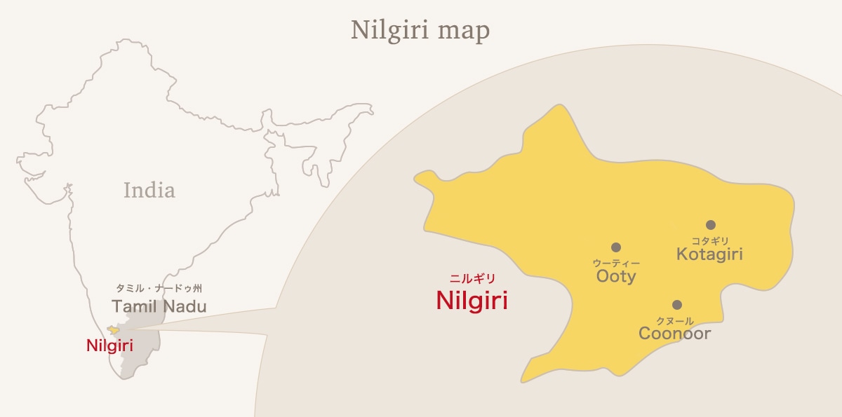 �˥륮���Ͽ�