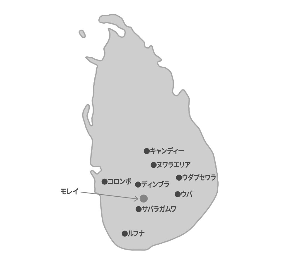 �����󥫤��Ͽ�