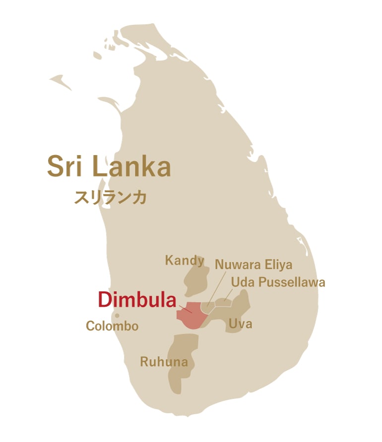 �������Ͽ�