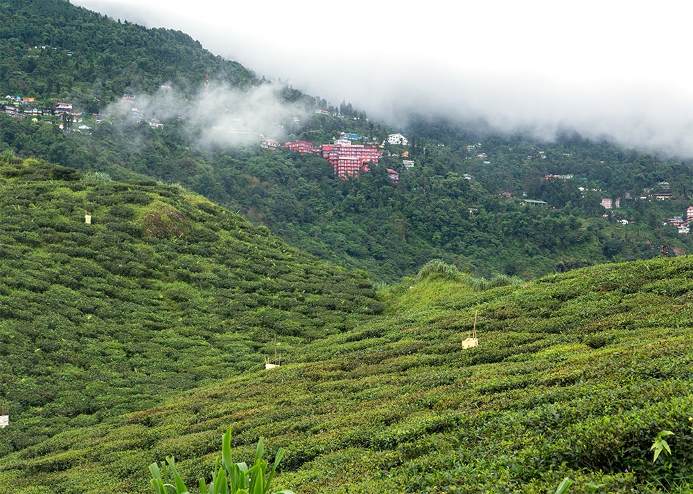 ����������϶�μ̿�