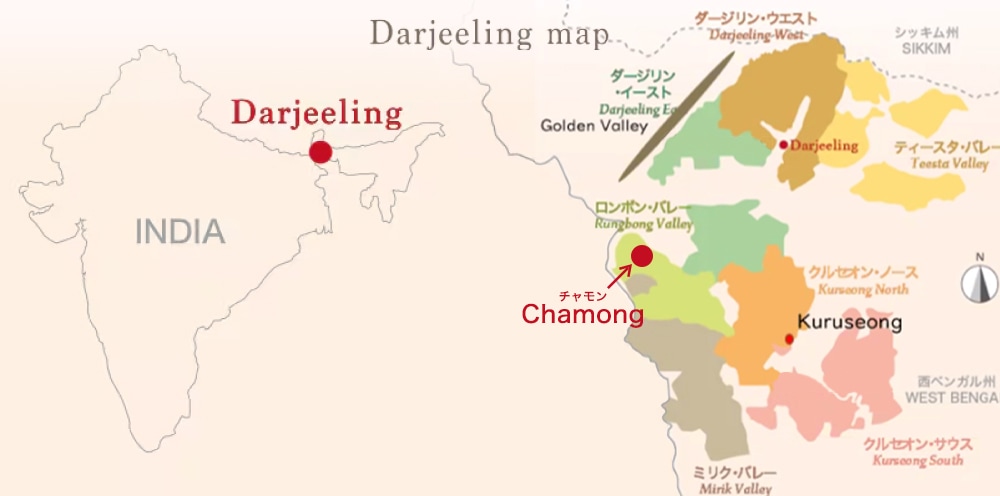 ����������϶���Ͽ�