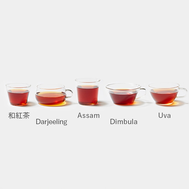 Special Selection