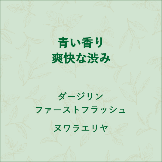 �Ĥ�����ֲ��ʽ¤� ���������ե������ȥե�å��� �̥�饨���