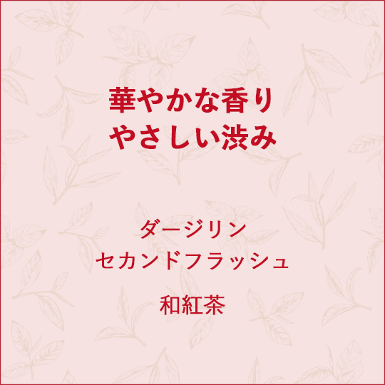 �ڤ䤫�ʹ��䤵�����¤� ��������󥻥���ɥե�å��� �¹���