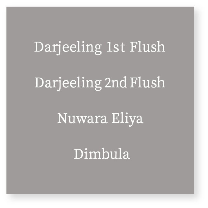 Darjeeling 1st Flush~