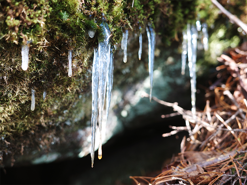 ̾��ε��������