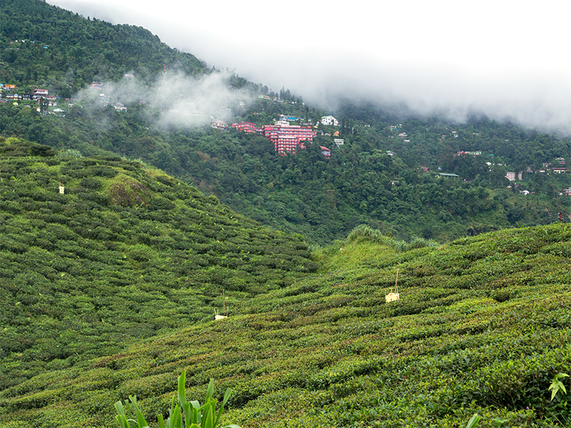 �����ι���λ��Ϥ�ˬ�ͤ� ����� ����������϶� ���������