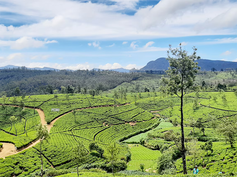 �̥�饨���������������