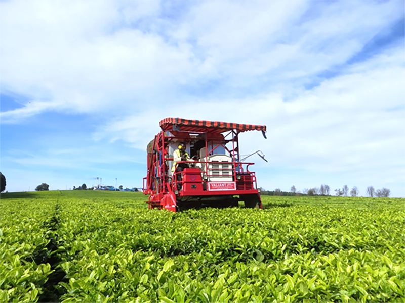 ���˥��������������