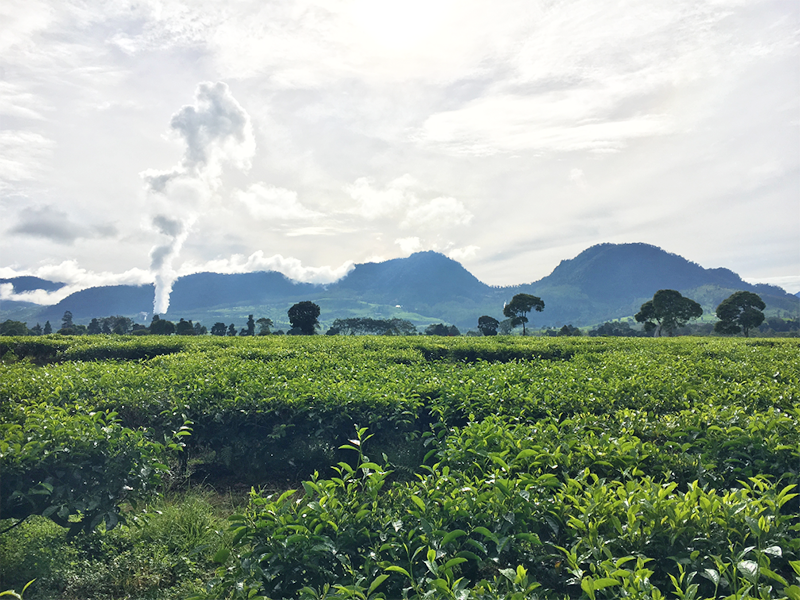 ����ɥͥ����������������