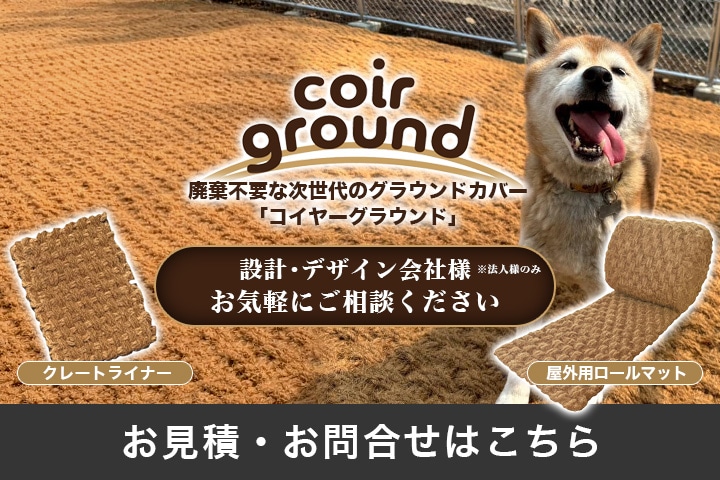 コイヤーグラウンド