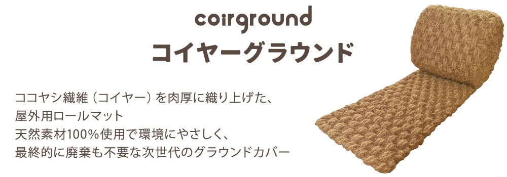 コイヤーグラウンド