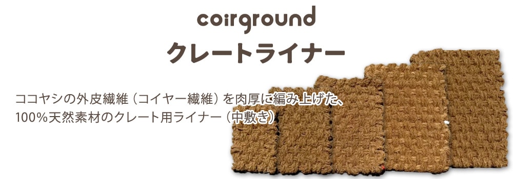 コイヤーグラウンド